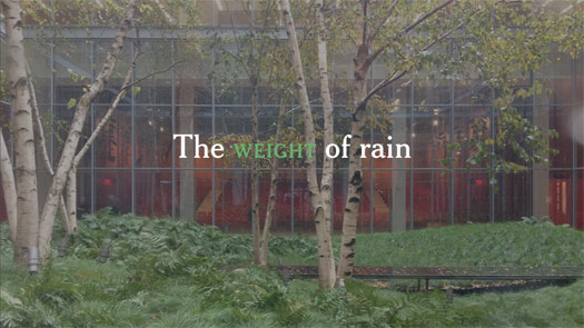  The Weight of Rain presentation